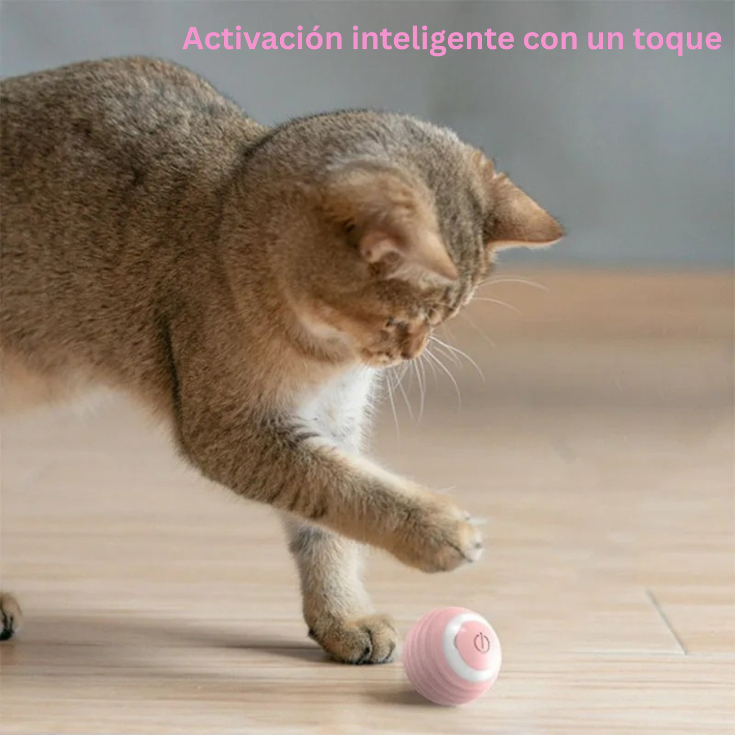 Pelota Interactiva Recargable para Mascotas